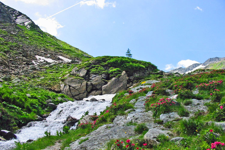 Sommerurlaub Lungau Bergsteigen