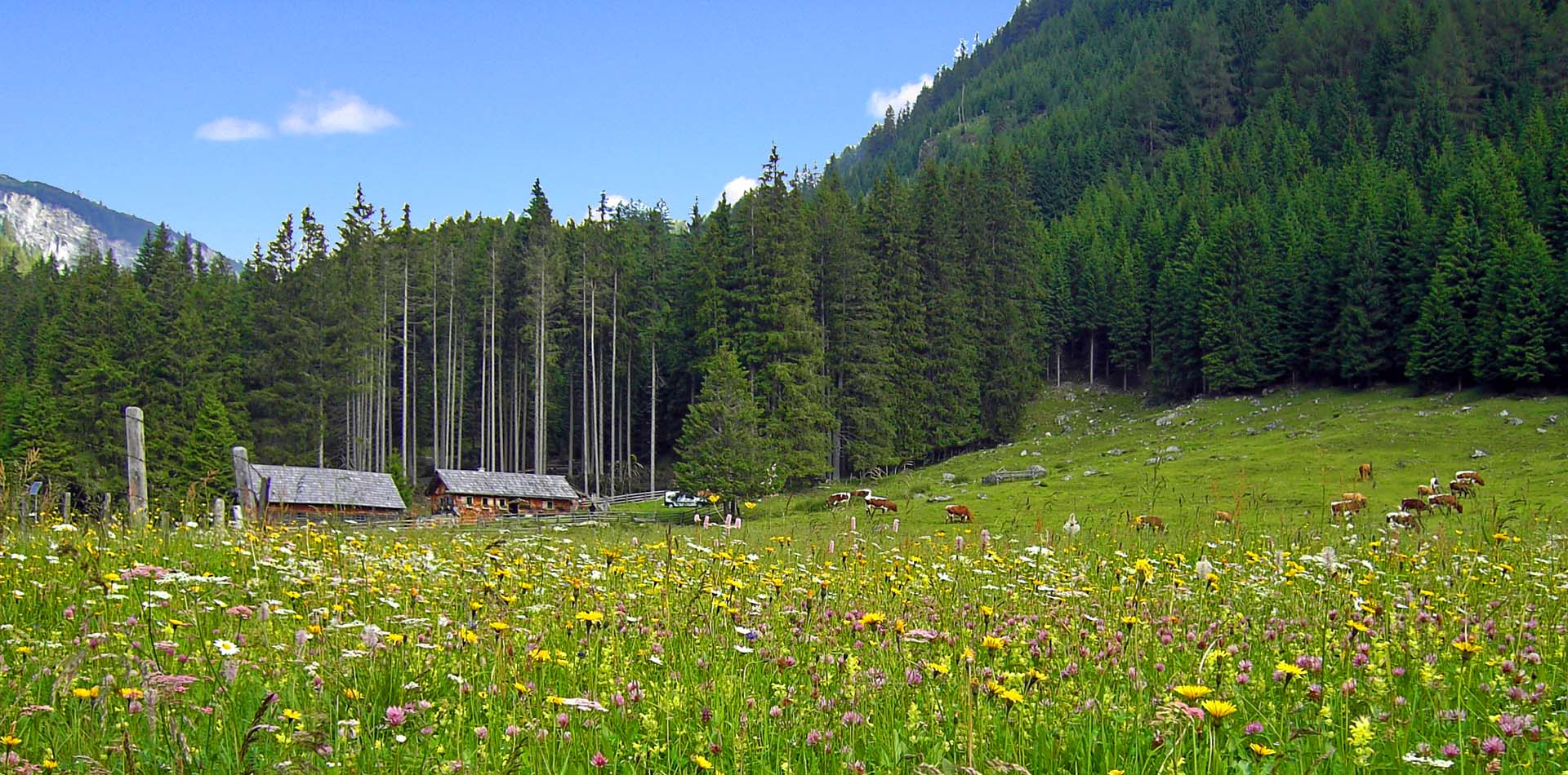 Urlaub Wandern im Lungau